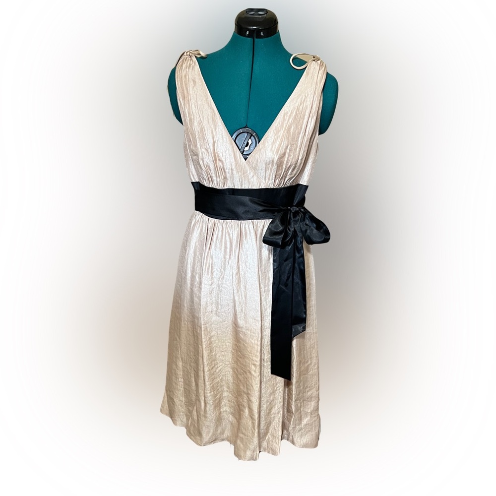 Max & Cleo Champagne Cocktail Dress